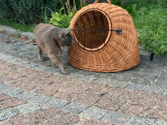 Wicker Pet Carrier, Pet Basket, House for animals