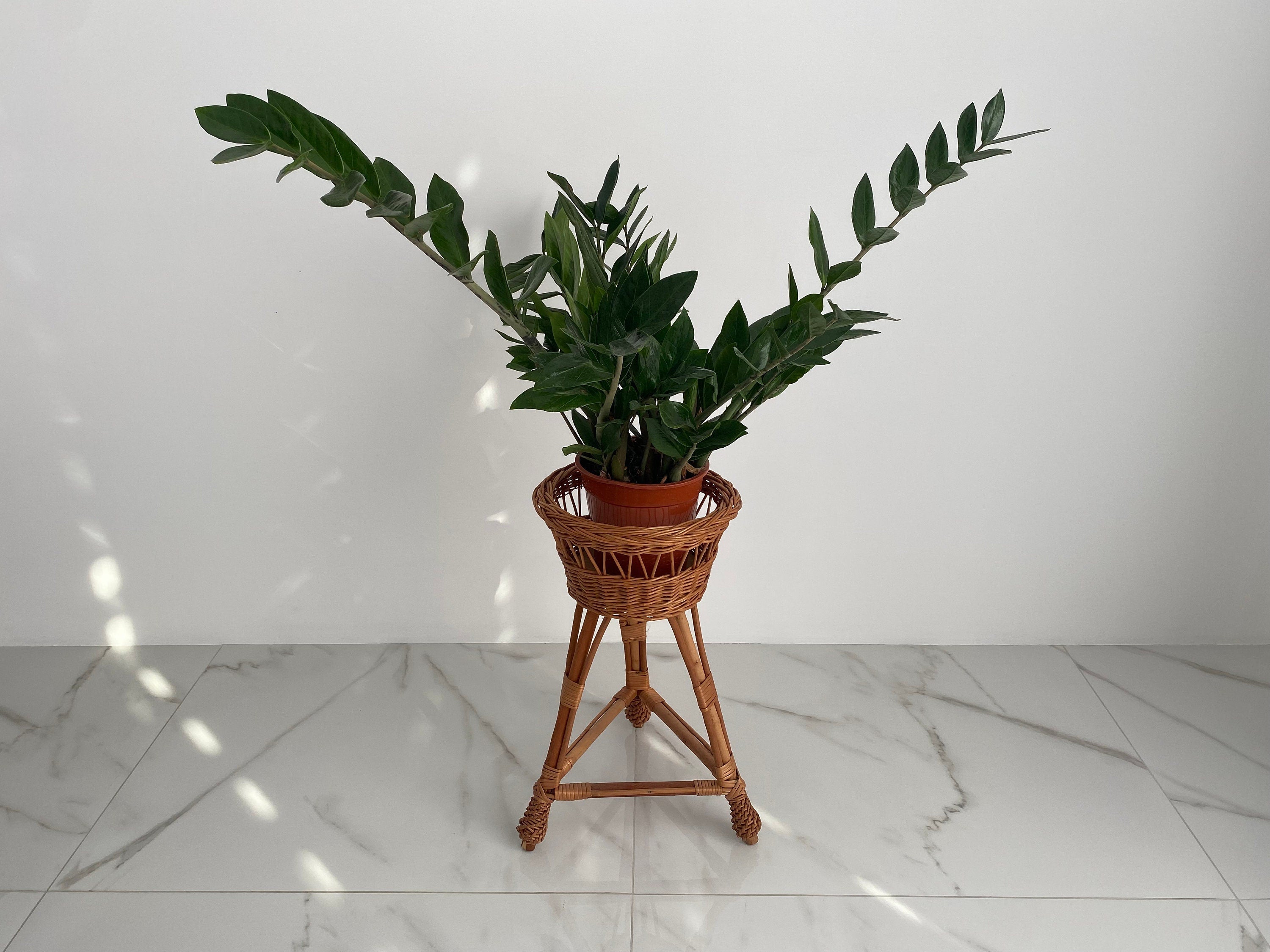 Plant stand wicker