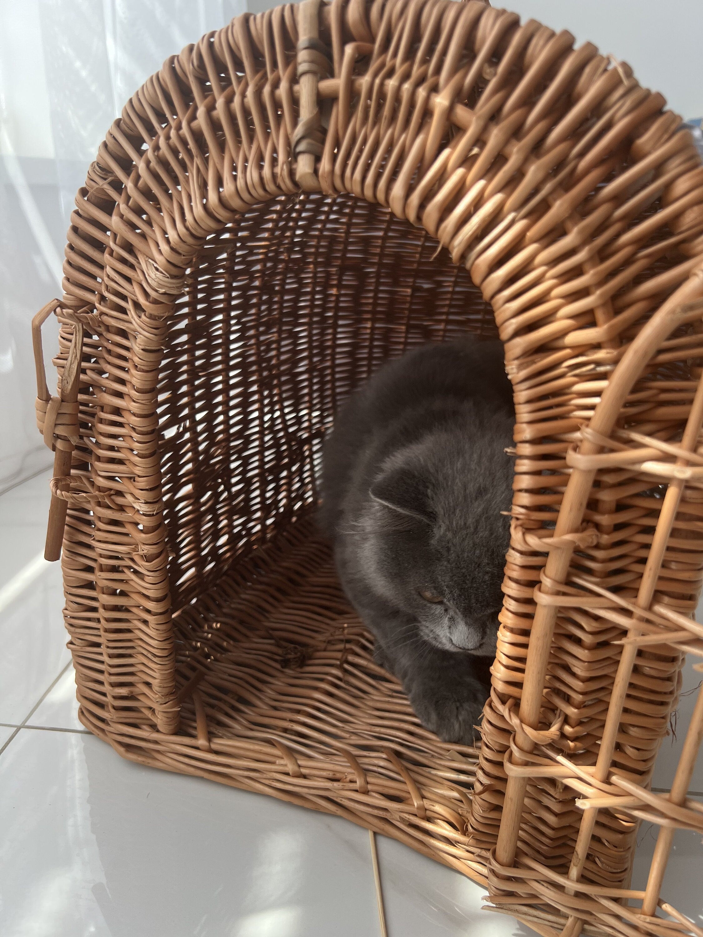 Wicker Pet Carrier, Pet Basket, House for animals