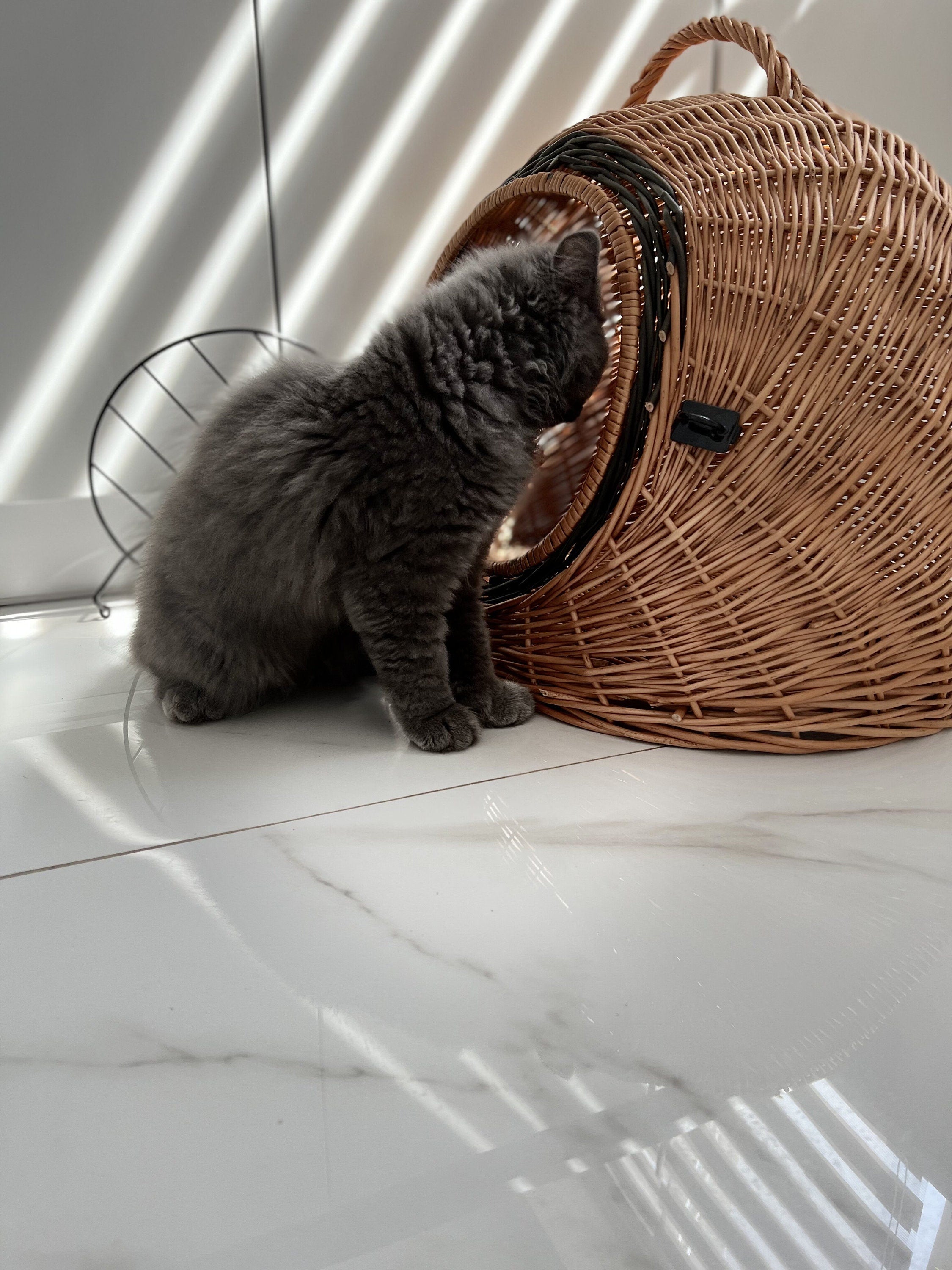 Wicker Pet Carrier, Pet Basket, House for animals