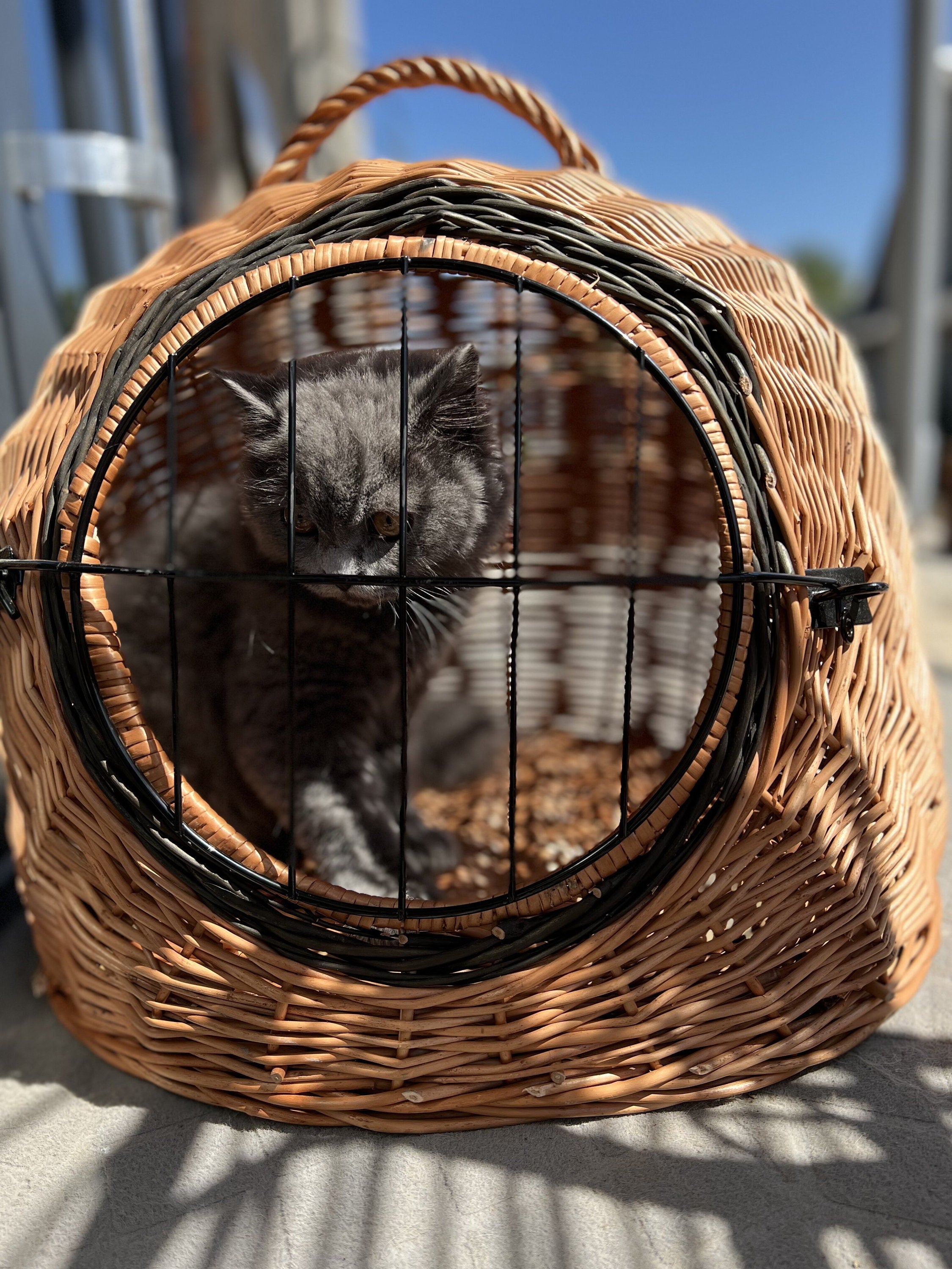 Wicker Pet Carrier, Pet Basket, House for animals