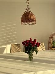 Luxury Wicker Pendant Light Ceiling Lamp hanging lamp shade Home decor