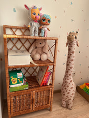 Wicker shelf, Wicker rack, Storage shelf, Bookshelf, Plant shelf, Rattan shelf